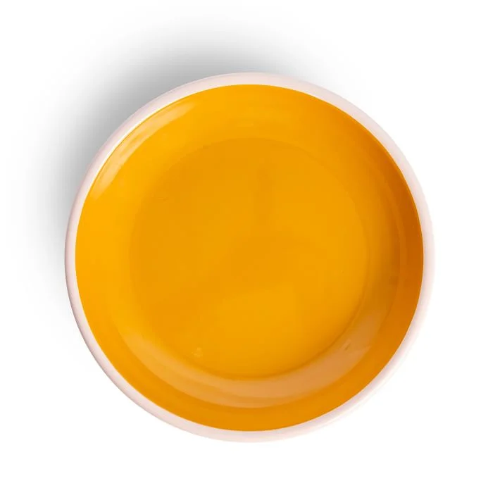 Crow Canyon - The Get Out Enamel Coupe Dinner Plate, Pink & Mustard